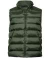 T9648 9648 Tee Jays Lite Bodywarmer Deep Green colour image